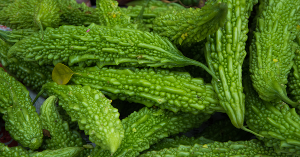 ゴーヤ栽培を成功させるプランターサイズとは？ベランダ菜園の秘訣