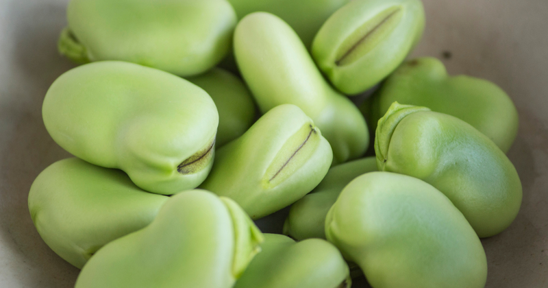 ソラマメ中毒：知っておくべきリスクと対策