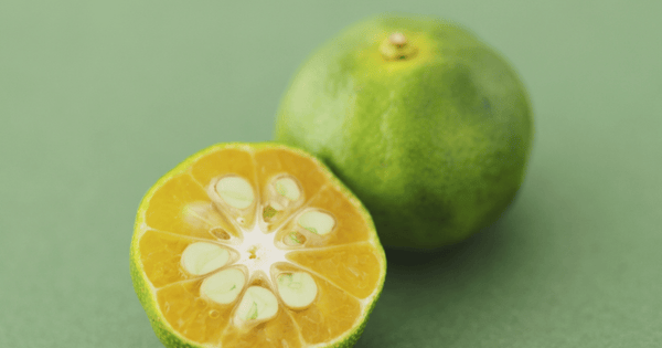 青柚子を徹底解説！旬の時期から使い方のアイデアまで