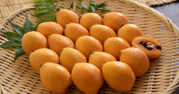 枇杷の実を大きく育てる秘訣：剪定、摘果、肥料の与え方徹底解説