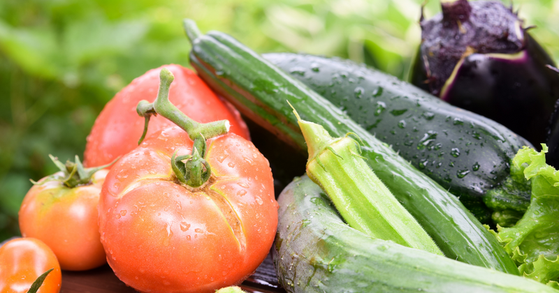 夏の野菜旬カレンダー：栄養満点！食卓を彩る野菜たち