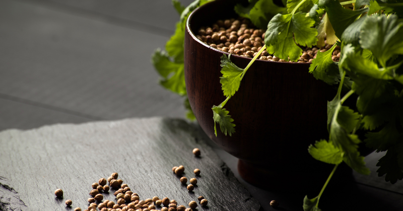 パセリの種から始める家庭菜園：育て方完全ガイドと栄養満点レシピ