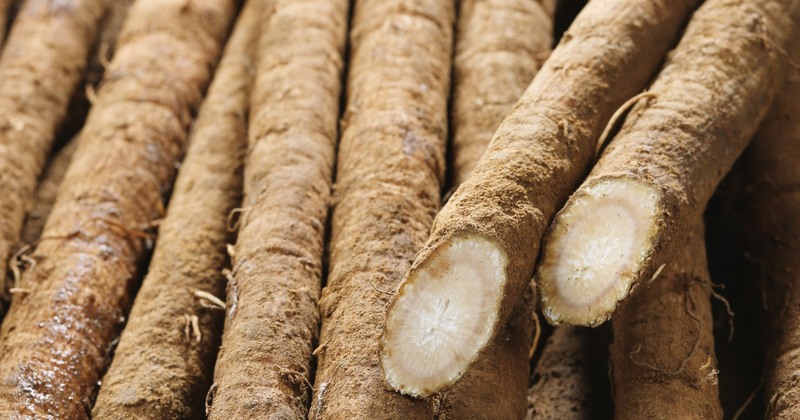 ごぼうの収穫時期：最適なタイミングを見極めて風味豊かなごぼうを収穫しよう！