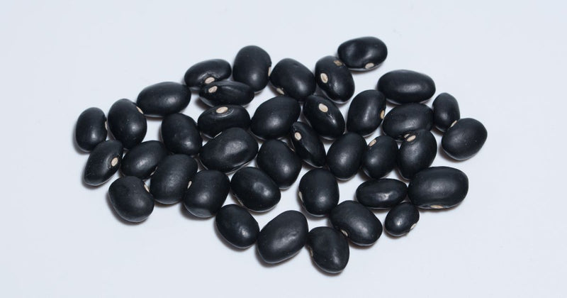 黒豆茶を飲み続けた結果：体の中から変わる美容と健康