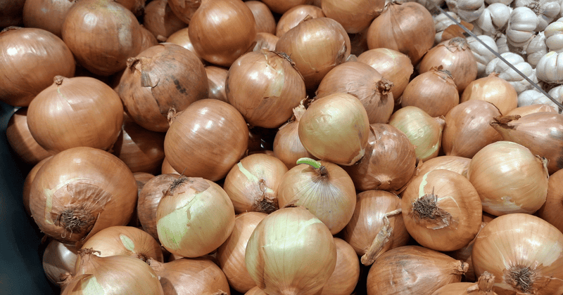玉ねぎが茶色い！傷み？見分け方と安全な食べ方・保存方法
