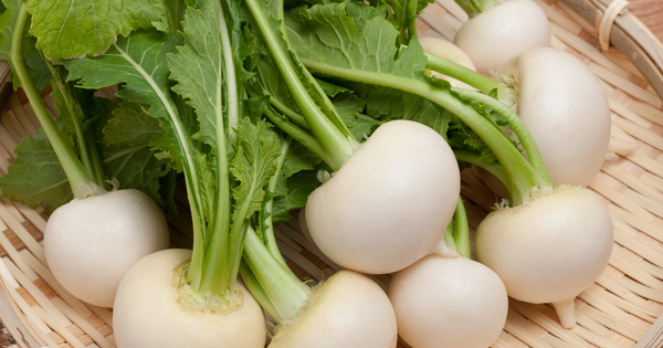 家庭菜園でカブを育てよう！初心者向け栽培ガイド：失敗しない方法とコツ