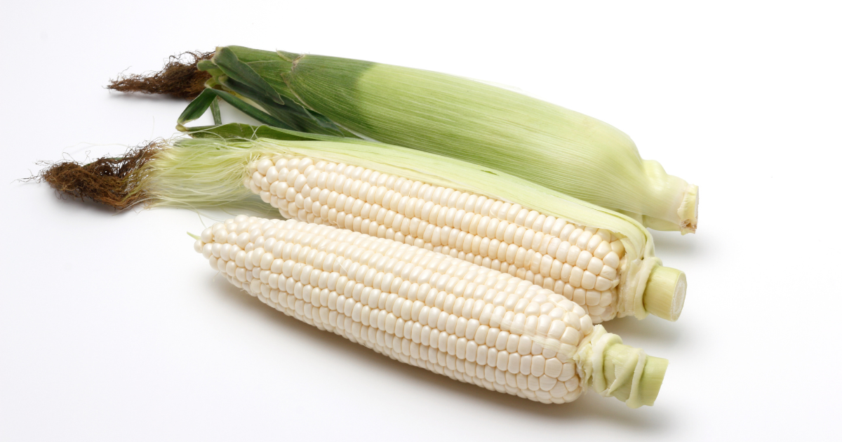 まるでスイーツ！白いとうもろこし（ホワイトコーン）最高の茹で方：時間とコツを徹底解説