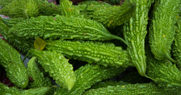 ゴーヤーとは？苦味と栄養たっぷりの夏野菜を徹底解説