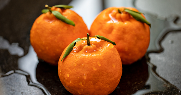 ポンカンとデコポン：冬の味覚、その違いと魅力を徹底解説