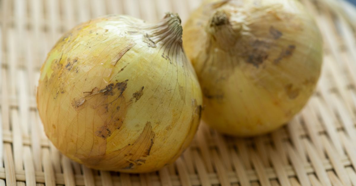 新玉ねぎの収穫時期はいつ？おいしい新玉ねぎの見分け方と保存方法