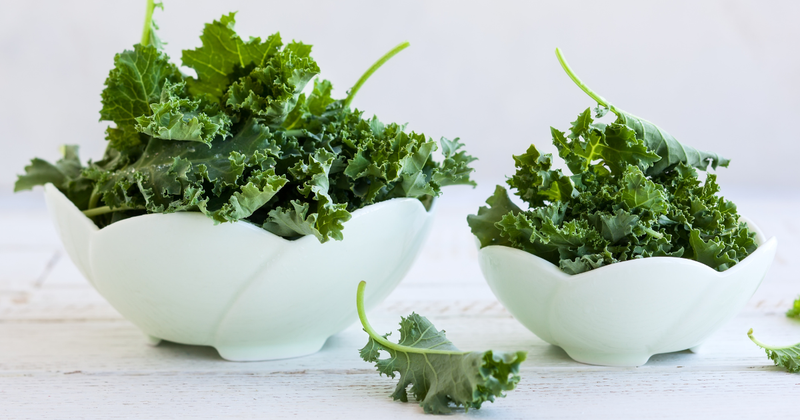 家庭菜園で栄養満点ケールを育てよう！初心者でも簡単、栽培方法を徹底解説