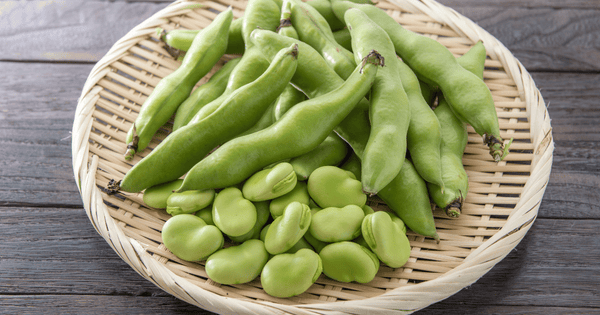 空豆（ソラマメ）とは？旬・栄養・調理法を徹底解説