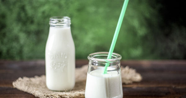 牛乳の栄養成分：知っておきたい健康効果と活用法