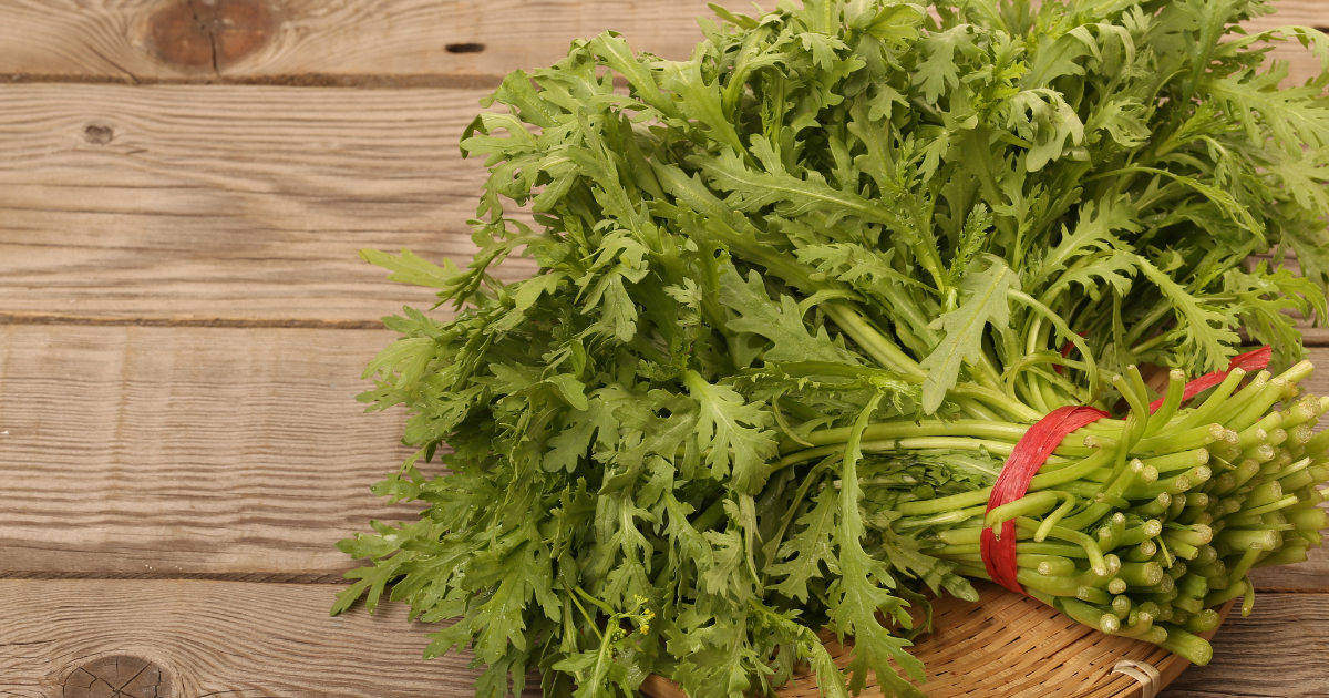 春菊（シュンギク）を深掘り！栄養満点な種類、選び方、家庭菜園での育て方まで徹底ガイド