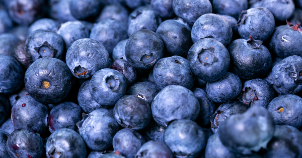 フロリダローズとは？希少なピンク色のブルーベリーの魅力に迫る