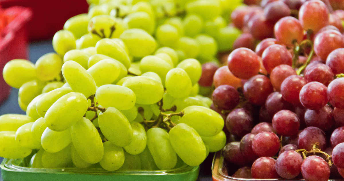 ぶどうを最高に美味しく食べる方法：選び方から食べ方まで徹底解説！