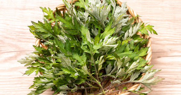 冷凍よもぎで一年中楽しむ！風味を逃さない保存術と絶品レシピ