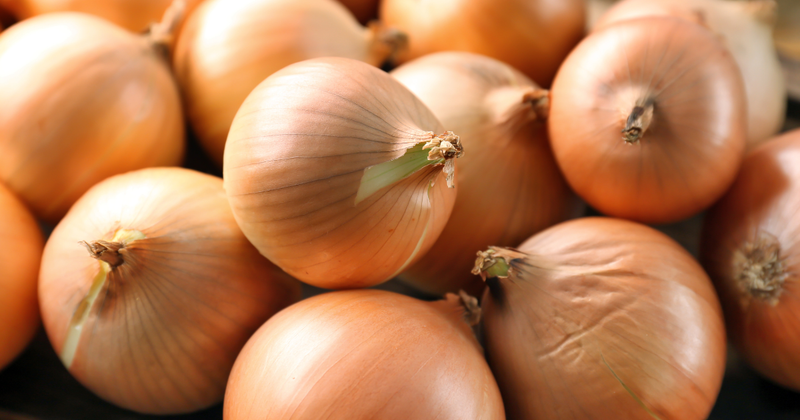 玉ねぎの旬：種類、特徴、歴史から紐解く玉ねぎの魅力
