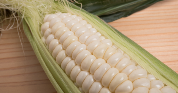 白いとうもろこしの絶品レシピ：生で、焼いて、茹でて！甘さを最大限に引き出す食べ方