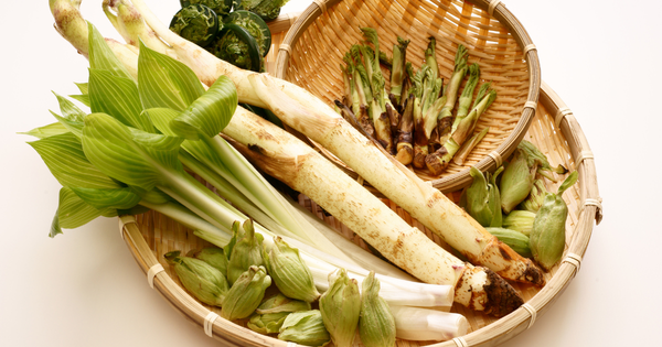 こしあぶらの下ごしらえ：女王の風味を最大限に引き出す方法