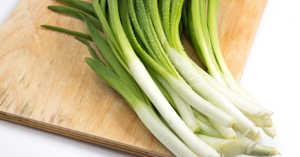 ねぎの旬は甘みと香りが食欲をそそる！選び方からレシピまで徹底解説