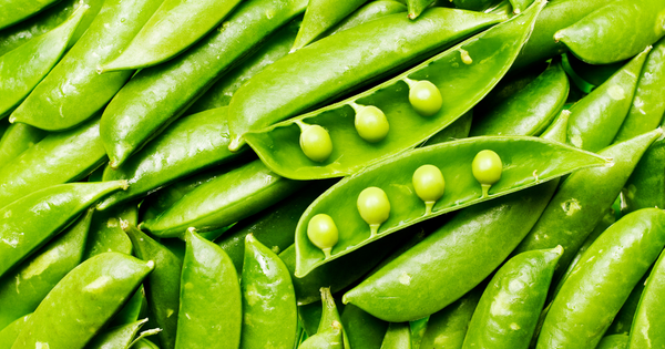 さやえんどうとグリンピース：違いを知って食卓を豊かにする！