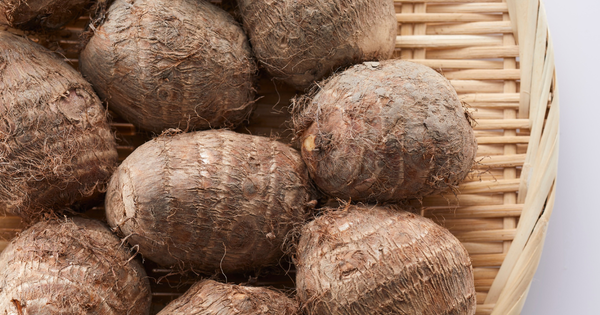 タロイモとは？特徴や種類、食べ方について徹底解説