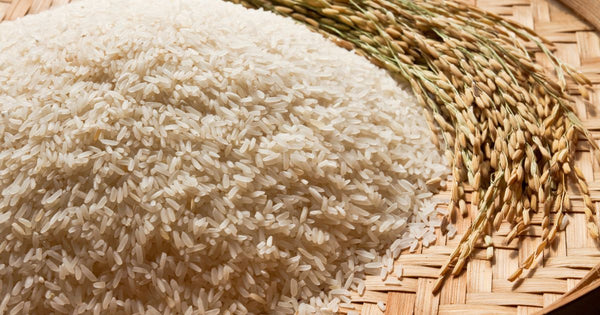 福井銘菓「羽二重餅」はどこで買える？お土産に最適な購入場所