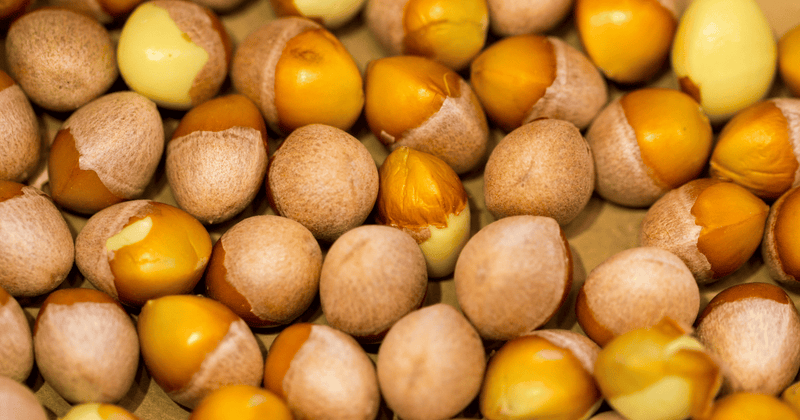 簡単！自宅でできる銀杏の焼き方レシピ：電子レンジ、炒り方完全ガイド