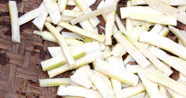 マコモタケの魅力徹底解剖！おいしい食べ方からレシピ、保存方法まで完全ガイド