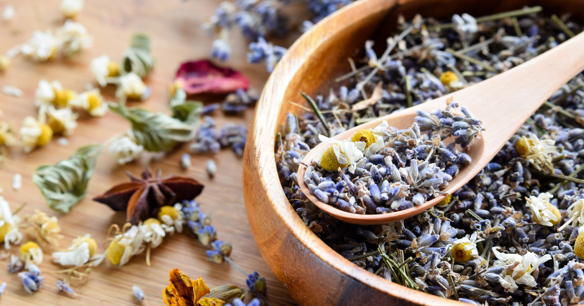 初心者でも簡単！育てやすいハーブ21選｜食卓を豊かに彩る栽培ガイド