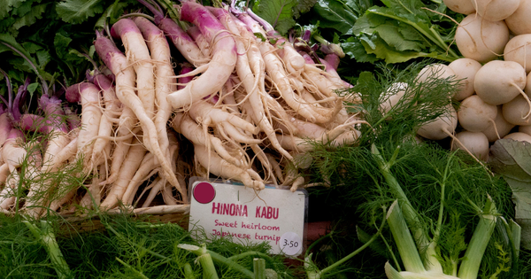 滋賀県が誇る伝統野菜「日野菜」を徹底解剖：歴史、特徴、栽培、絶品レシピ