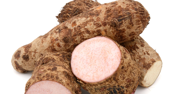 タロイモを味わい尽くす！定番から意外な食べ方まで徹底解説