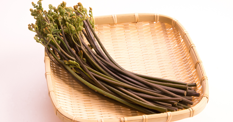 わらびを一年中楽しむ！プロが教える保存方法と絶品レシピ