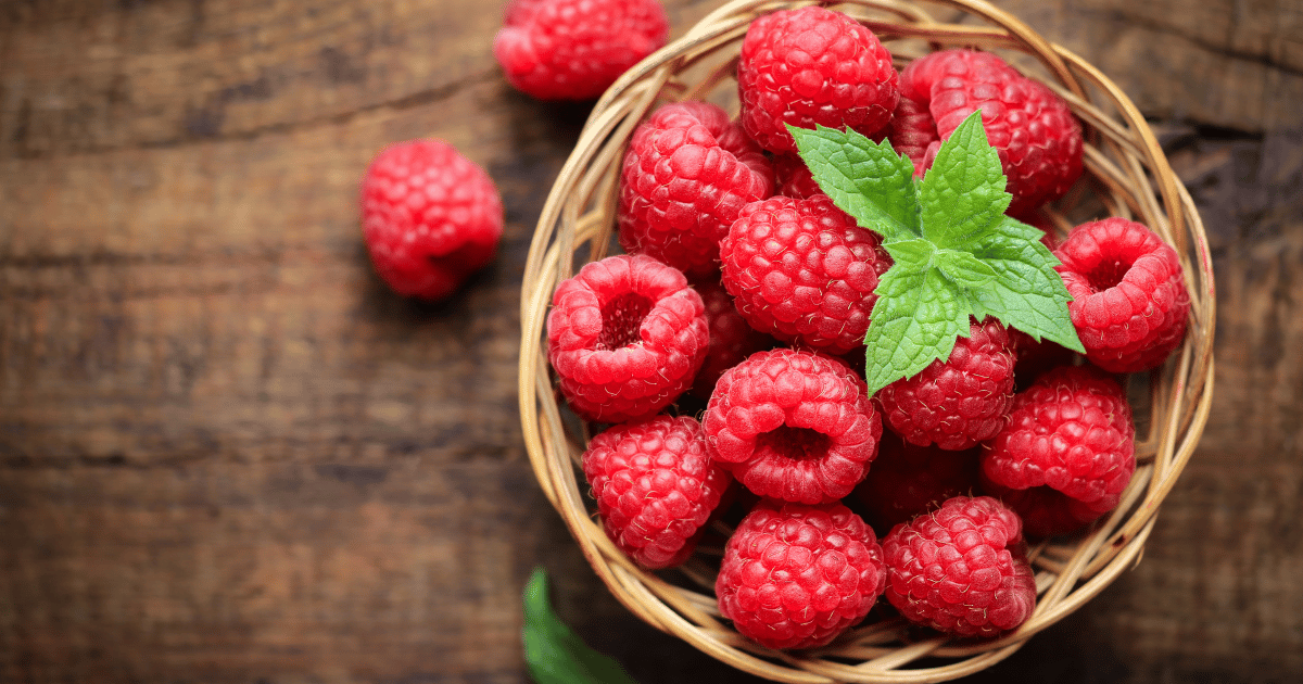 鉢植えラズベリー栽培成功ガイド：育て方のコツと甘い実を収穫する秘訣