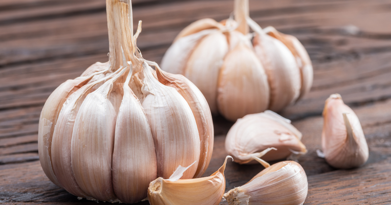 にんにく収穫時期：見極め方から保存方法まで徹底解説！