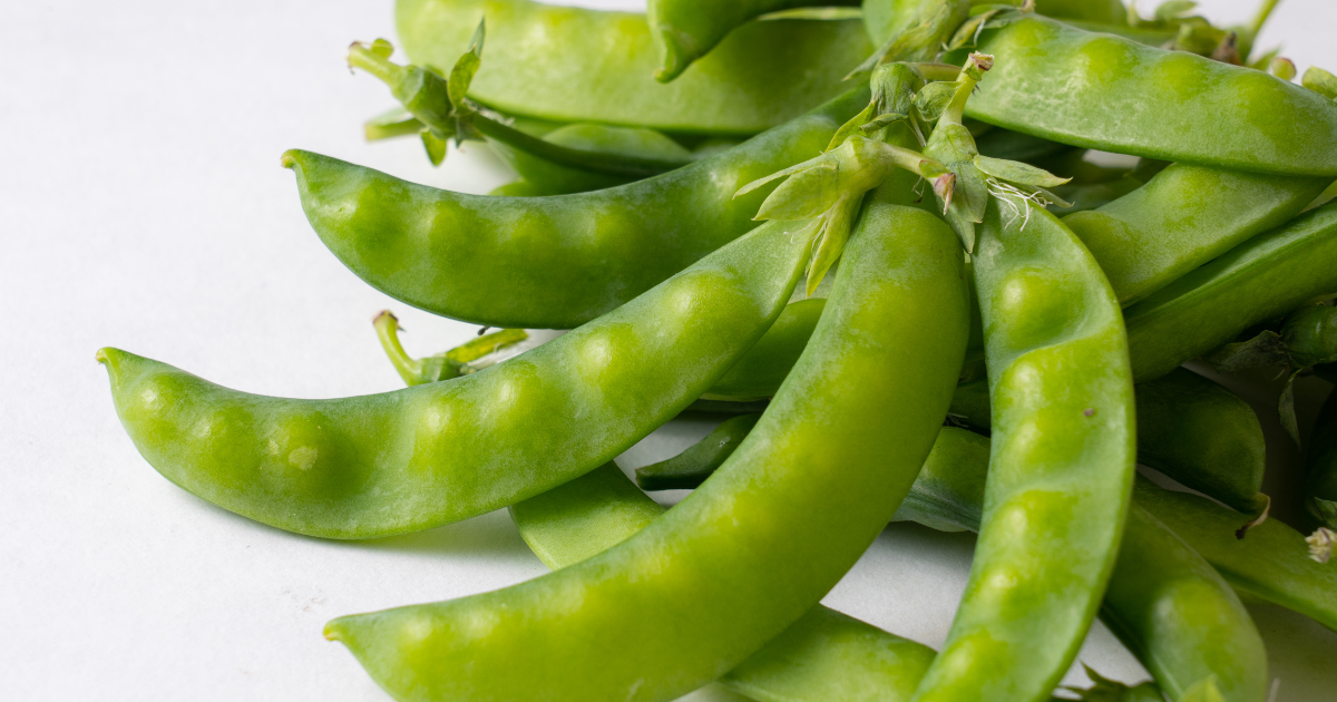 スナップエンドウを長期保存！冷蔵・冷凍で旬の味をキープする方法