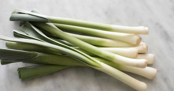 ネギを植える最適な時期：種類別ガイドと栽培のコツ