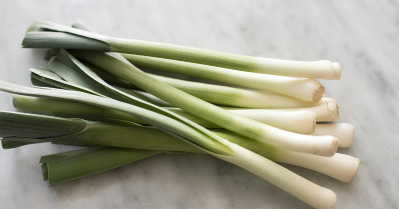 ネギを植える最適な時期：種類別ガイドと栽培のコツ