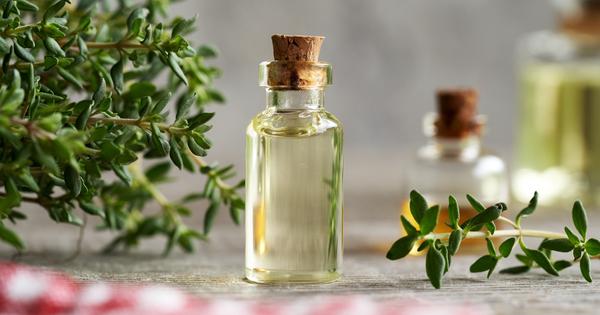 タイムの効能：知られざるパワーを徹底解説