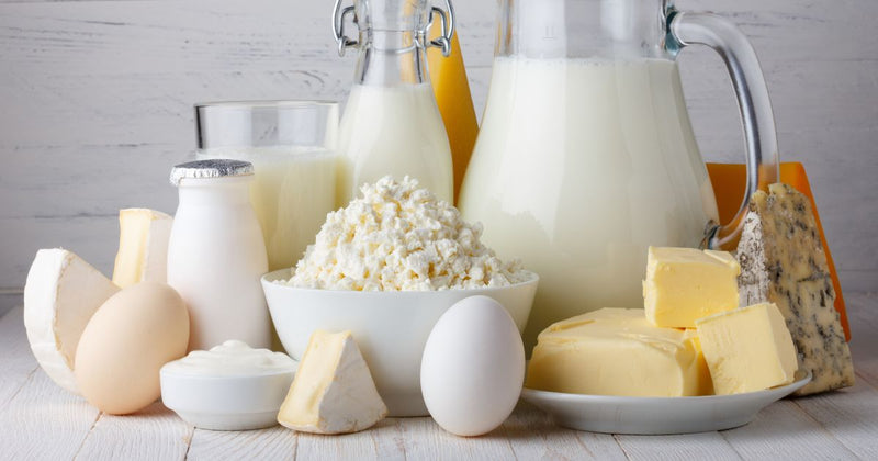 卵、乳製品を知る：食生活への影響と選択肢