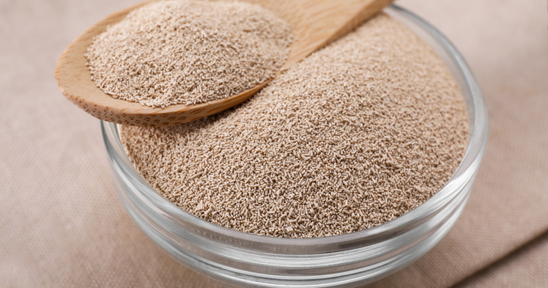 生イーストとドライイーストの違いを徹底解説！パン作りに最適なのはどっち？