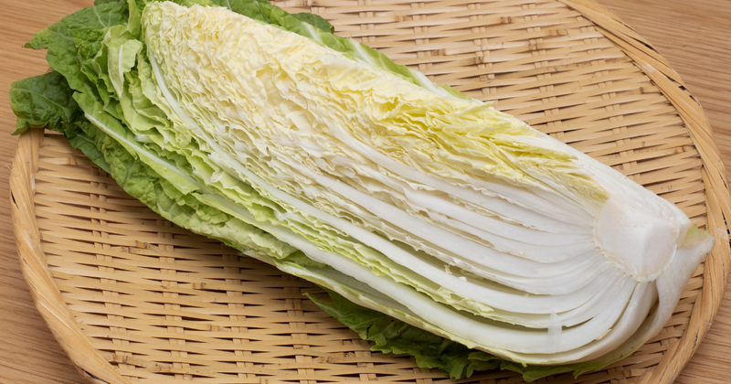 白菜の追肥時期：最適なタイミングと肥料の種類で収穫量アップ！