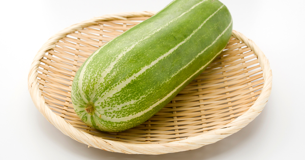 ハグラウリ栽培：千葉の伝統野菜を食卓へ！特徴、栽培方法、レシピ、保存法を徹底解説