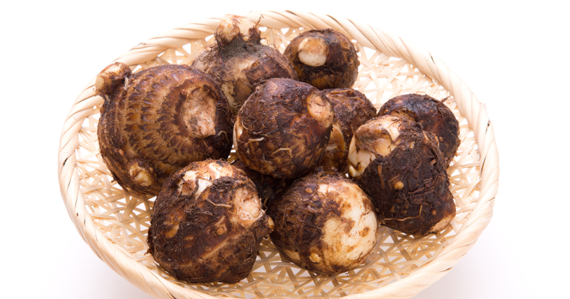 里芋の仲間：食卓を豊かに彩る、知られざるサトイモの世界