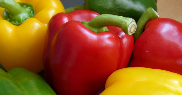 家庭菜園でカラフルパプリカを育てよう！栽培のコツと病害虫対策