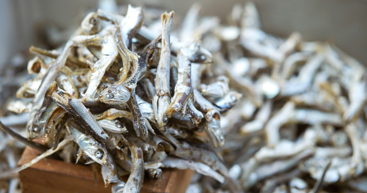 小魚おやつ：美味しくて健康的なスナックの選び方と栄養価