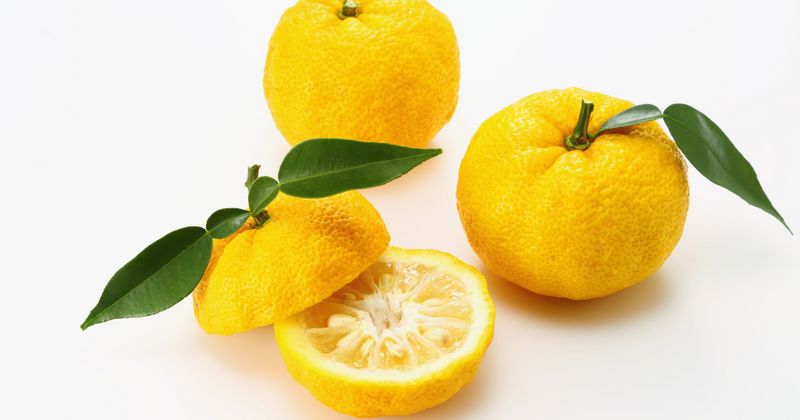 ゆずを長持ちさせる冷凍保存術｜風味を逃さず賢く保存！