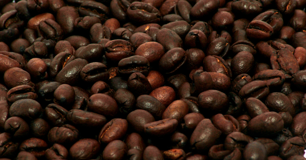 希少な丸い豆「ピーベリーコーヒー」の魅力：特徴、産地、入手方法を徹底解説