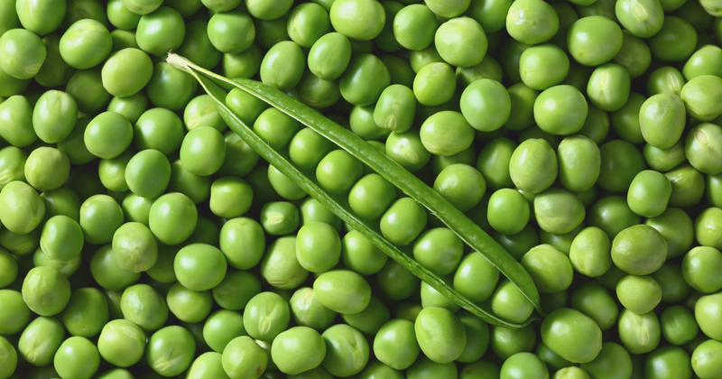 グリーンピース栽培：肥料選びから収穫まで！初心者でも失敗しない育て方